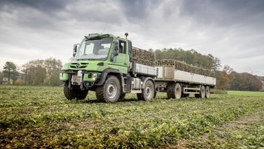 Mit insgesamt zwölf Unimog für die Transportlogistik bei Mählmann Gemüsebau