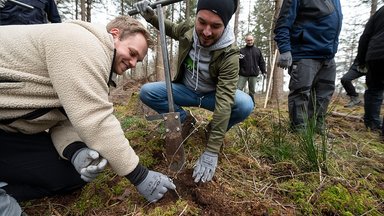 Get to the spades, get set, go! Daimler Truck employees plant trees for near-natural reforestation