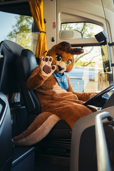 Deutschland blickt's - Verkehrssicherheit im Zeitalter der E-Mobilität: Eventbilder