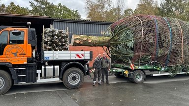 Festlicher Transport: Unimog bringt Weihnachtsbaum von Paderborn nach Berlin