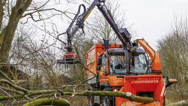 Bäume fällen, Gelände freiräumen: Das „Biest“ erledigt alle Arbeitsschritte in einem Durchgang