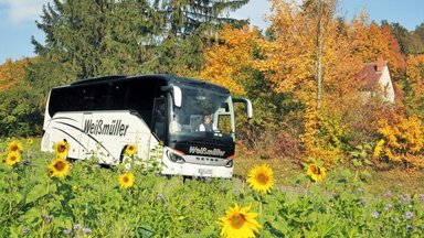 Setra – eine treue Verbindung