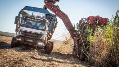 18 automatisiert fahrende Mercedes-Benz Axor für Zuckerrohr-Ernte in Brasilien