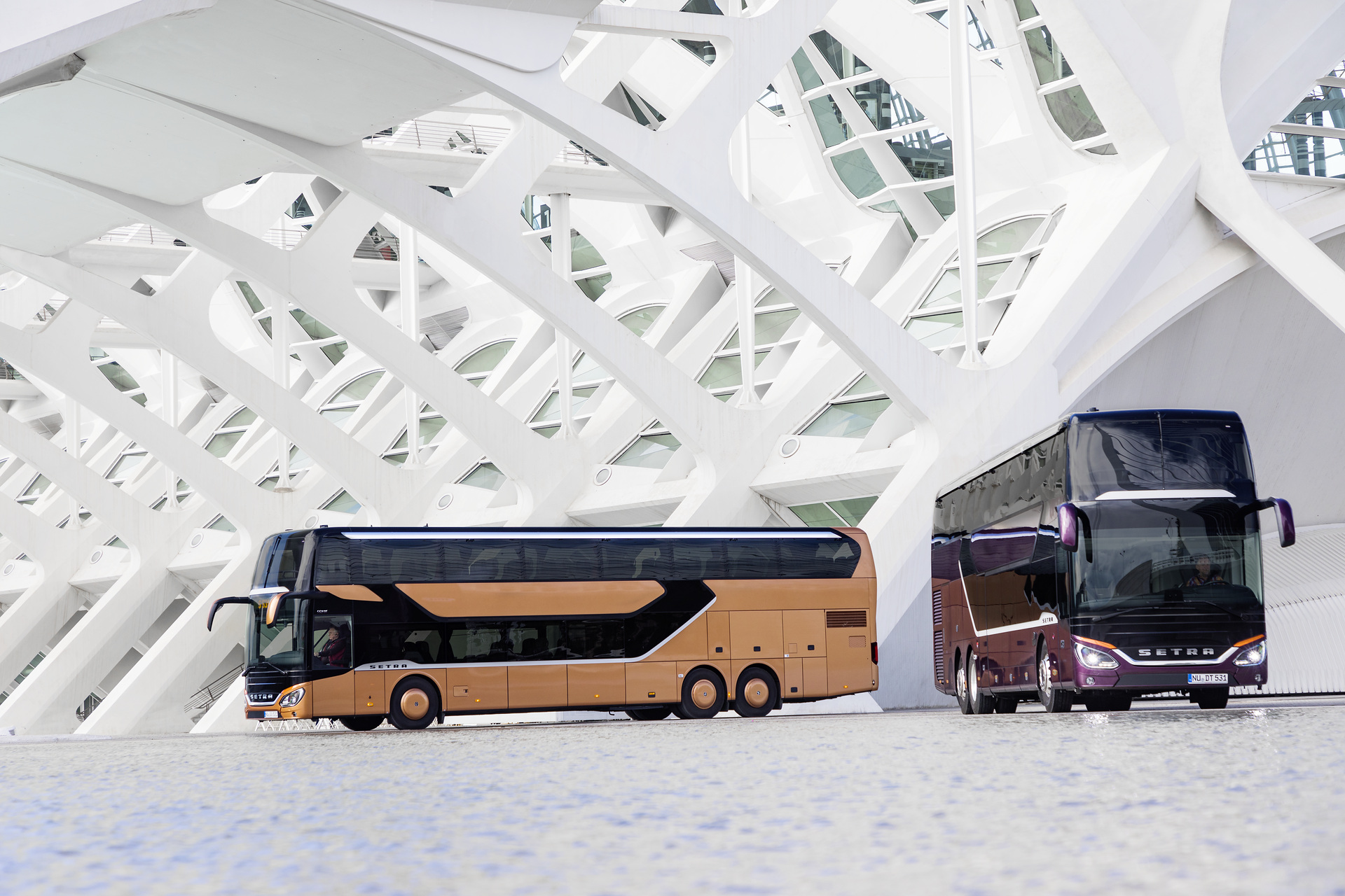 v.l.n.r.: Setra S 531 DT TopClass 500, Exterieur, Peach Metallic, OM 471 mit 375 kW (510 PS), 12,8 L Hubraum, 8-Gang Mercedes PowerShift, Active Brake Assist 4, Sideguard Assist, LED-Scheinwerfer, Länge/Breite/Höhe: 14.000/2.550/4.000 mm, Bestuhlung: 1/79; Setra S 531 DT TopClass 500, Exterieur, Viola Pyxis Metallic, OM 471 mit 375 kW (510 PS), 12,8 L Hubraum, 8-Gang Mercedes PowerShift, Active Brake Assist 4, Sideguard Assist, LED-Scheinwerfer, Länge/Breite/Höhe: 14.000/2.550/4.000 mm, Bestuhlung: 1/78 Setra S 531 DT TopClass 500, Modelljahr 2017
