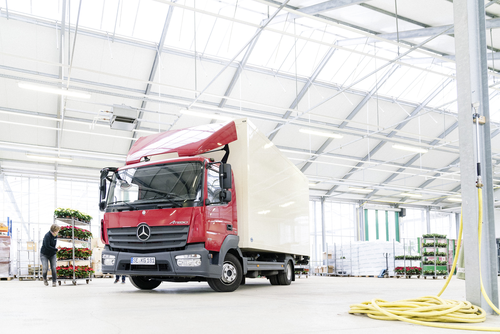 Inga Balke ist die Chefin der Gärtnerei Krayenhagen. Jetzt kurz vor der Adventszeit sind es vor allem Weihnachtssterne, mit denen ihr Mercedes-Benz Atego 818 beladen ist. Advent, Advent… Mercedes-Benz Atego bringt Weihnachtssterne