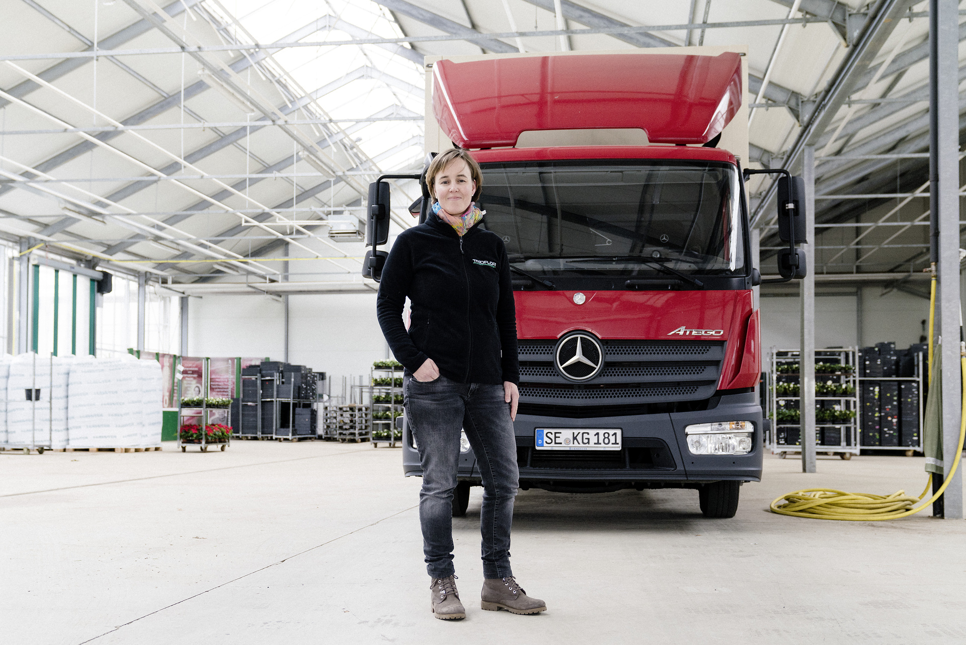 The Mercedes-Benz Atego delivers poinsettias during the  advent period