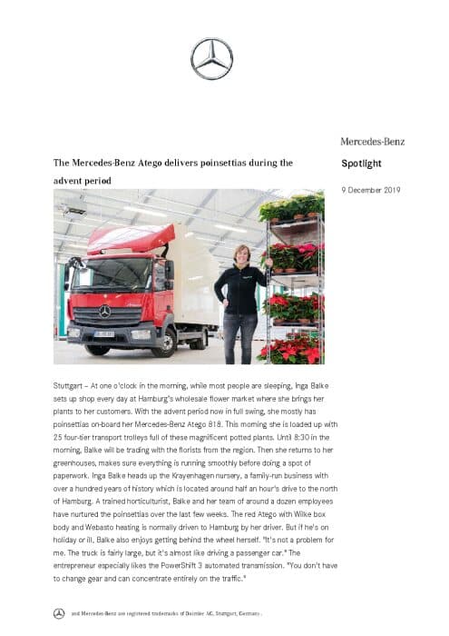 The Mercedes-Benz Atego delivers poinsettias during the advent period