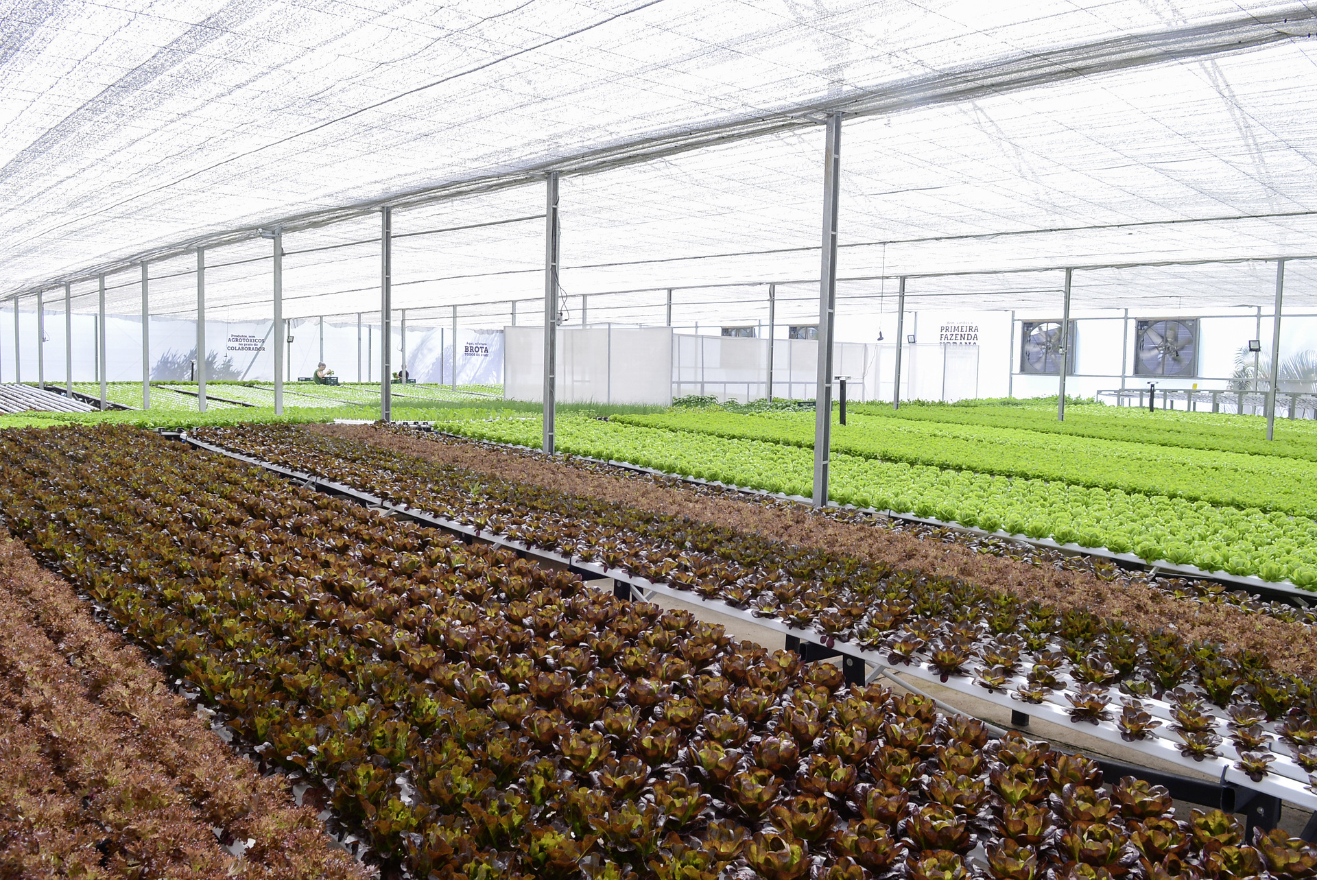 Daimler Trucks & Buses plant in Brazil opens an "urban farm" for growing its own vegetables