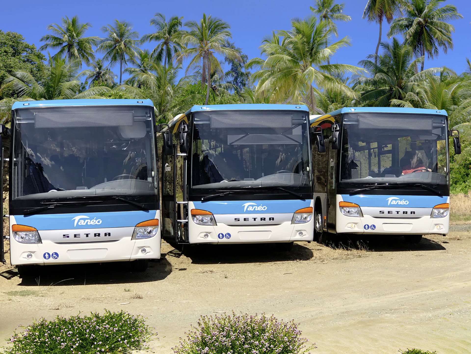 Drei von insgesamt 24 Setra Low Enrtry Bussen, die auf Neukaledonien im Linieneinsatz sind. Linieneinsatz im Südpazifik