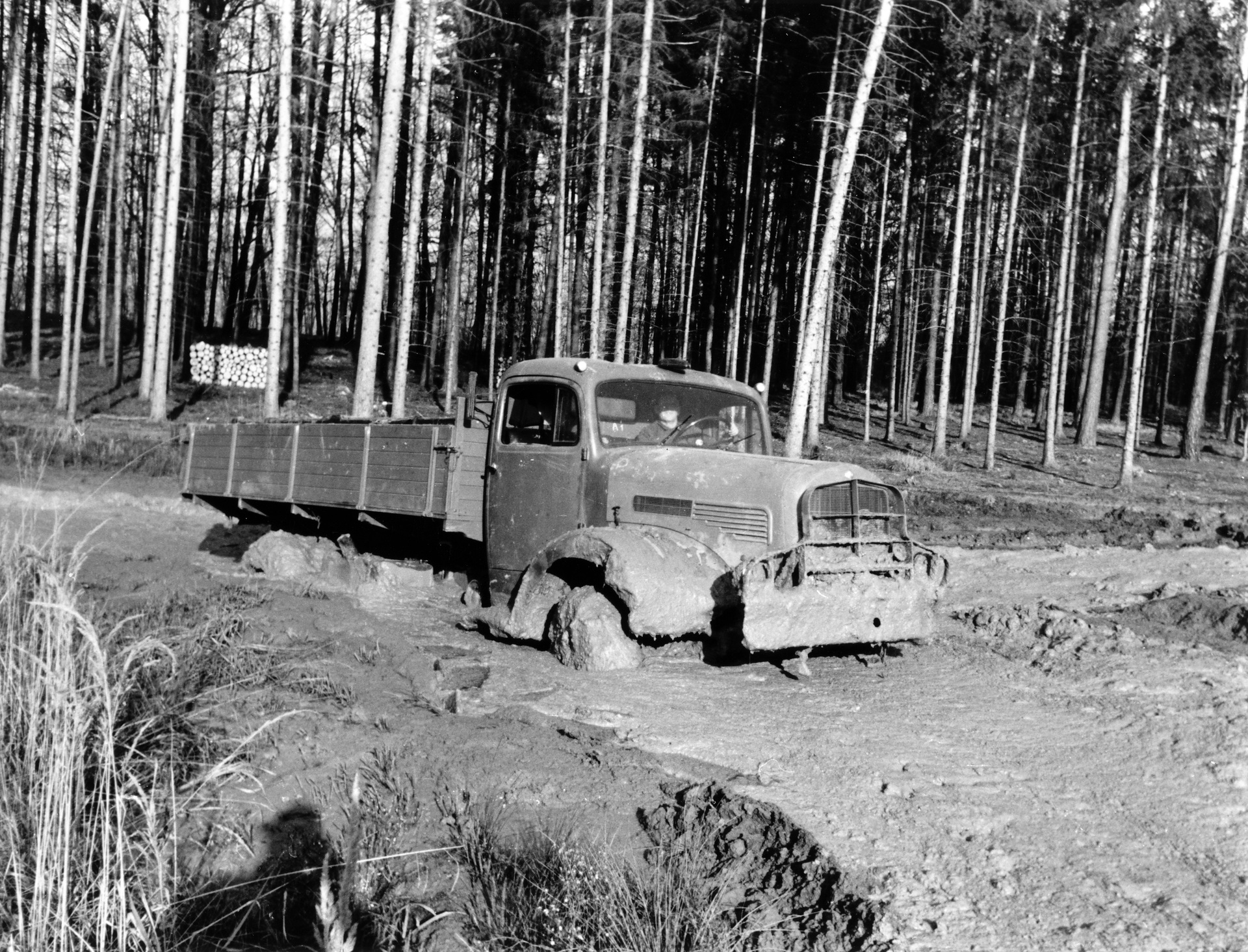 Mercedes-Benz LA 6600, Pritschenwagen der Baureihe 304 mit Allradantrieb. Foto der Geländeerprobung im Gerlinger Forst. (Fotosignatur der Mercedes-Benz Archive: 52004-4) Vor 70 Jahren: Premiere des Schwerlastwagens Mercedes-Benz L 6600 und Omnibus O 6600