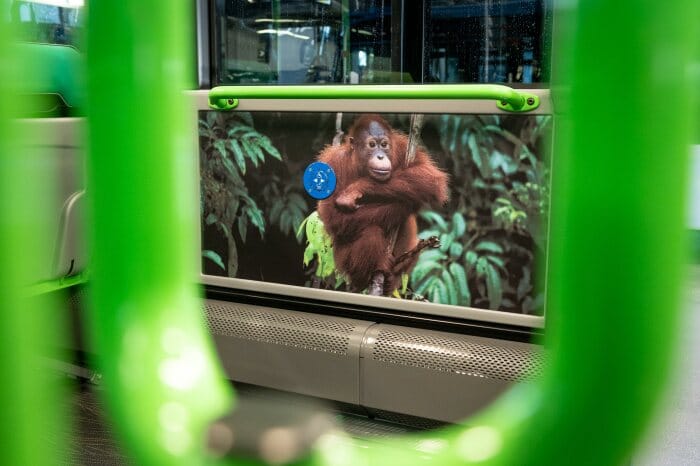 Moderner Nahverkehr beginnt im Omnibus selbst