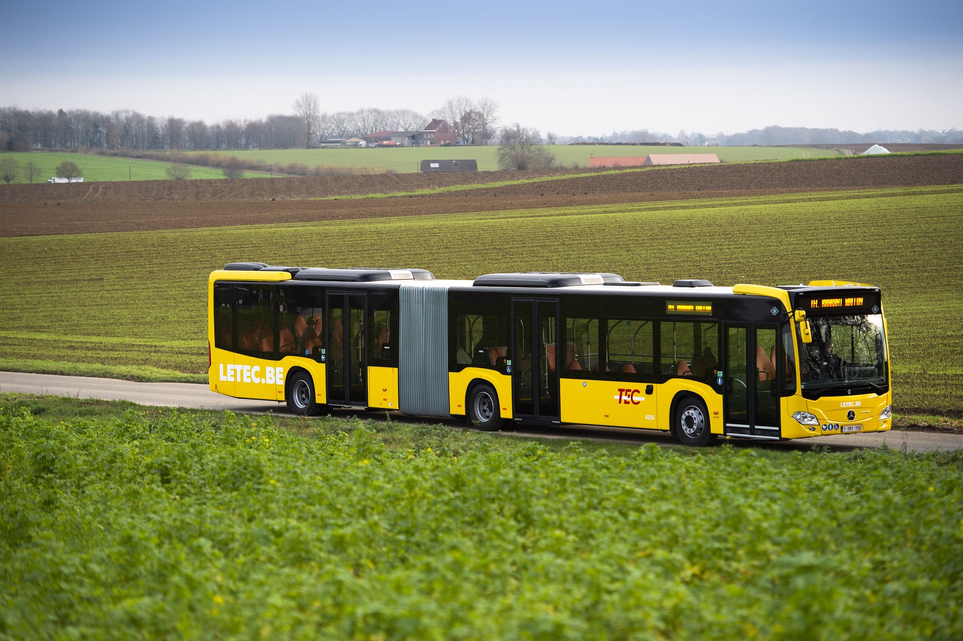 Mercedes-Benz Citaro G hybrid, Exterior, yellow, OM 936 h rated at 220 kW/299 hp, displacement 7.7 l, electric motor rated at 14 kW, 6-speed automatic transmission, Preventive Brake Assist, Sideguard Assist, length/width/height: 18125/2550/3350 mm, passenger capacity: max. 1/157 / TEC Group Transport en Commun Articulated buses in the yellow jersey: Mercedes-Benz supplies 129 Citaro G hybrid to Belgium's TEC Group