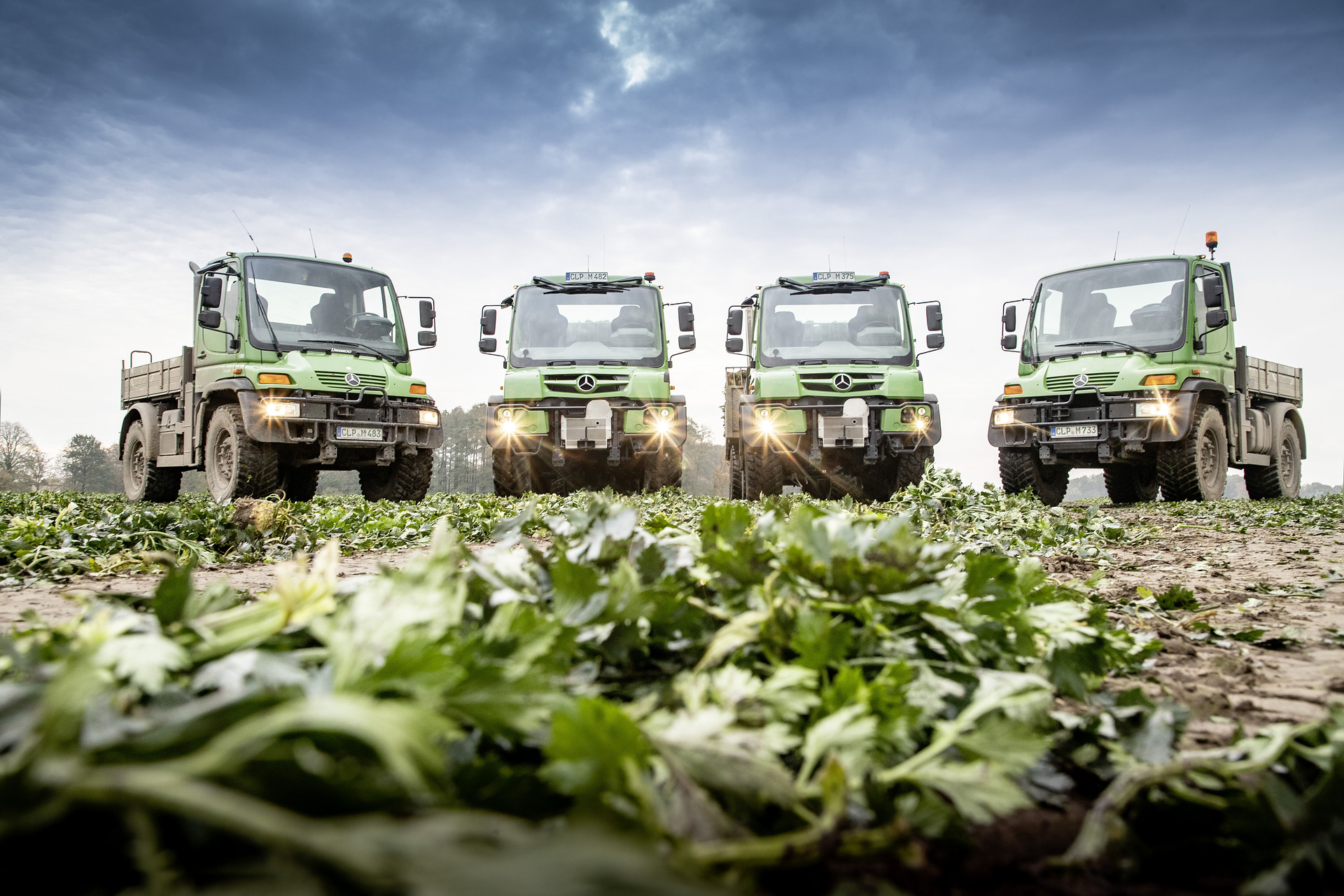 Insgesamt zwölf Mercedes-Benz Unimog hat Mählmann Gemüsebau im Einsatz, damit die Frucht frisch auf den Markt kommt Mit insgesamt zwölf Unimog für die Transportlogistik bei Mählmann Gemüsebau