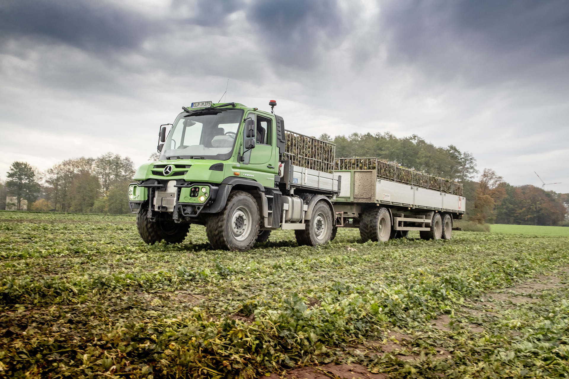 Mit insgesamt zwölf Unimog für die Transportlogistik bei Mählmann Gemüsebau