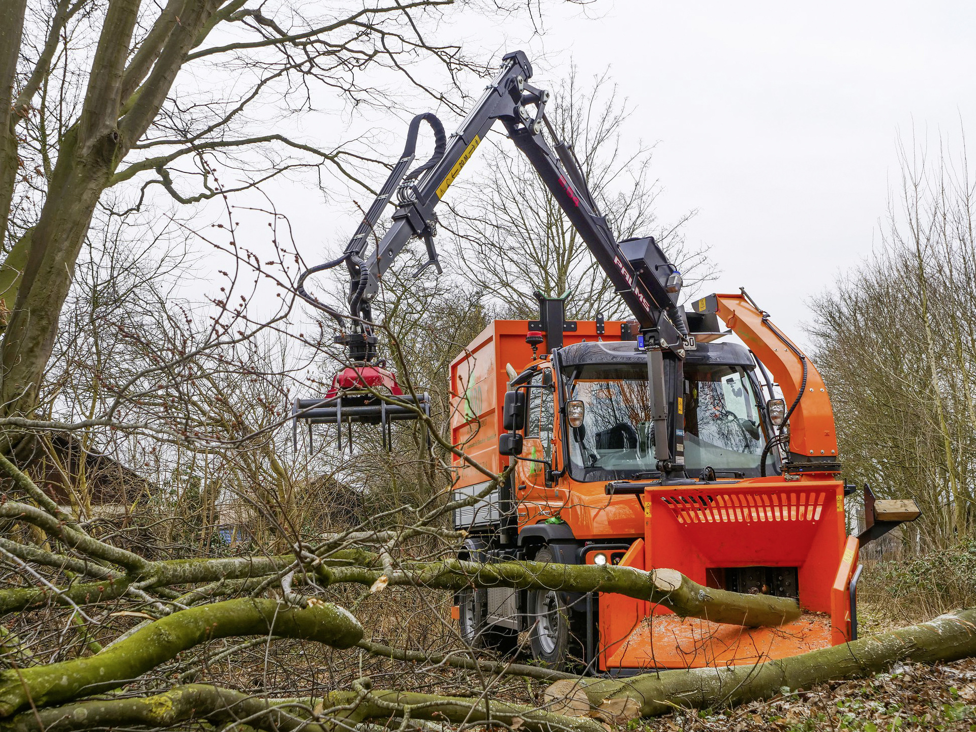 Im Gelände abseits befestigter Wege Bäume fällen, umgestürzte Bäume zerkleinern und die Holzabfälle transportfähig machen: Der orangefarbene Unimog U 430 des Bremer Baumdiensts schafft alle Arbeitsschritte in einem Durchgang. Ausgerüstet ist er mit Kippaufbau, Holzgreifer, Fronthäcksler und - falls nötig - auch einem Teleskopkran. Bäume fällen, Gelände freiräumen: Das „Biest“ erledigt alle Arbeitsschritte in einem Durchgang