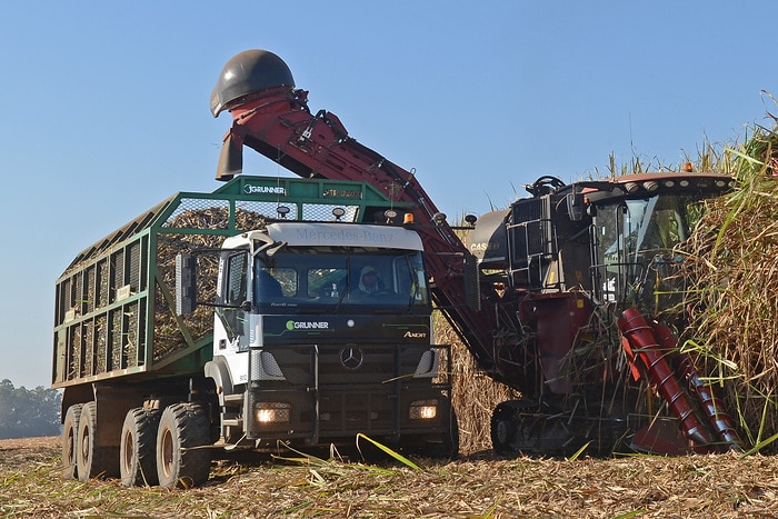 Successful development partnership in Brazil:  Around 640 Mercedes-Benz Axors for automated harvesting operations delivered by the end of the year