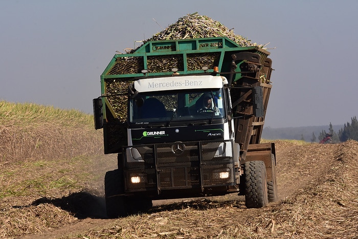 Successful development partnership in Brazil:  Around 640 Mercedes-Benz Axors for automated harvesting operations delivered by the end of the year