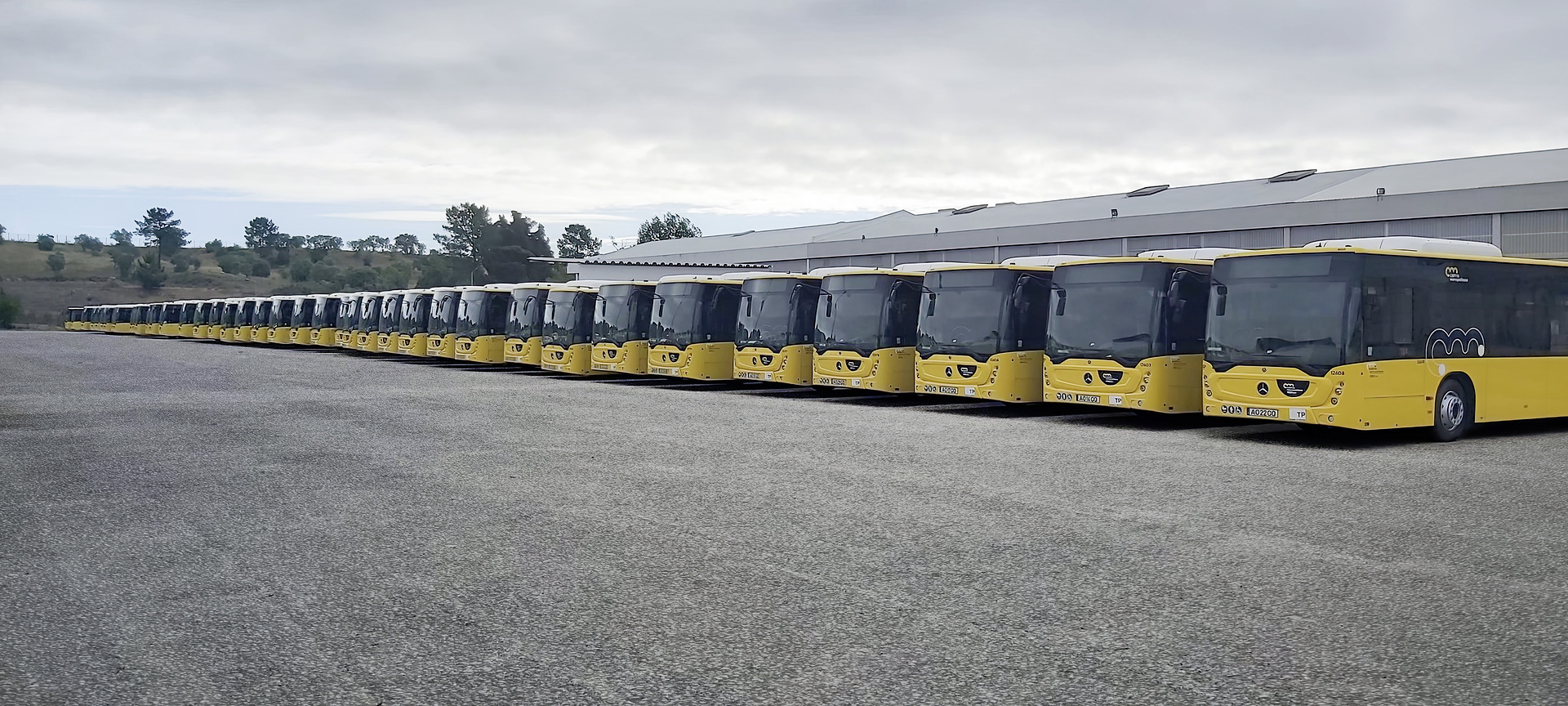 Record order from Portugal: Daimler Buses has delivered 864 buses to the Área Metropolitana de Lisboa (AML), the region surrounding the country's capital Lisbon