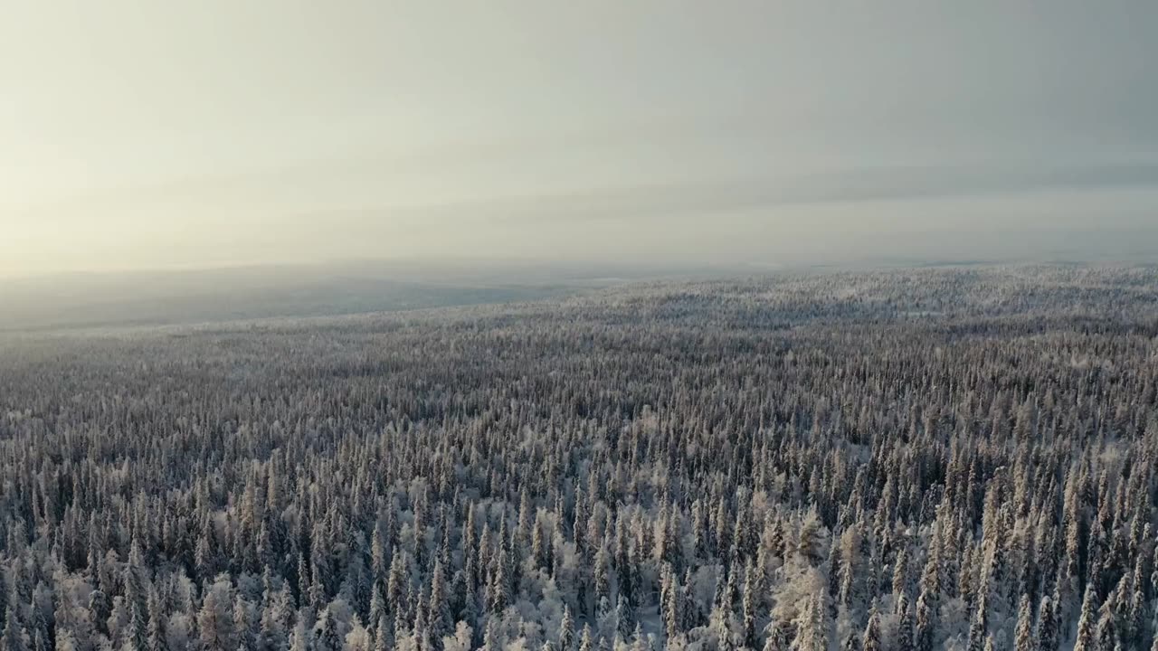 Kälte, Eis und Schnee erfolgreich getrotzt: Mercedes-Benz Trucks testet in Finnland Elektro-Lkw