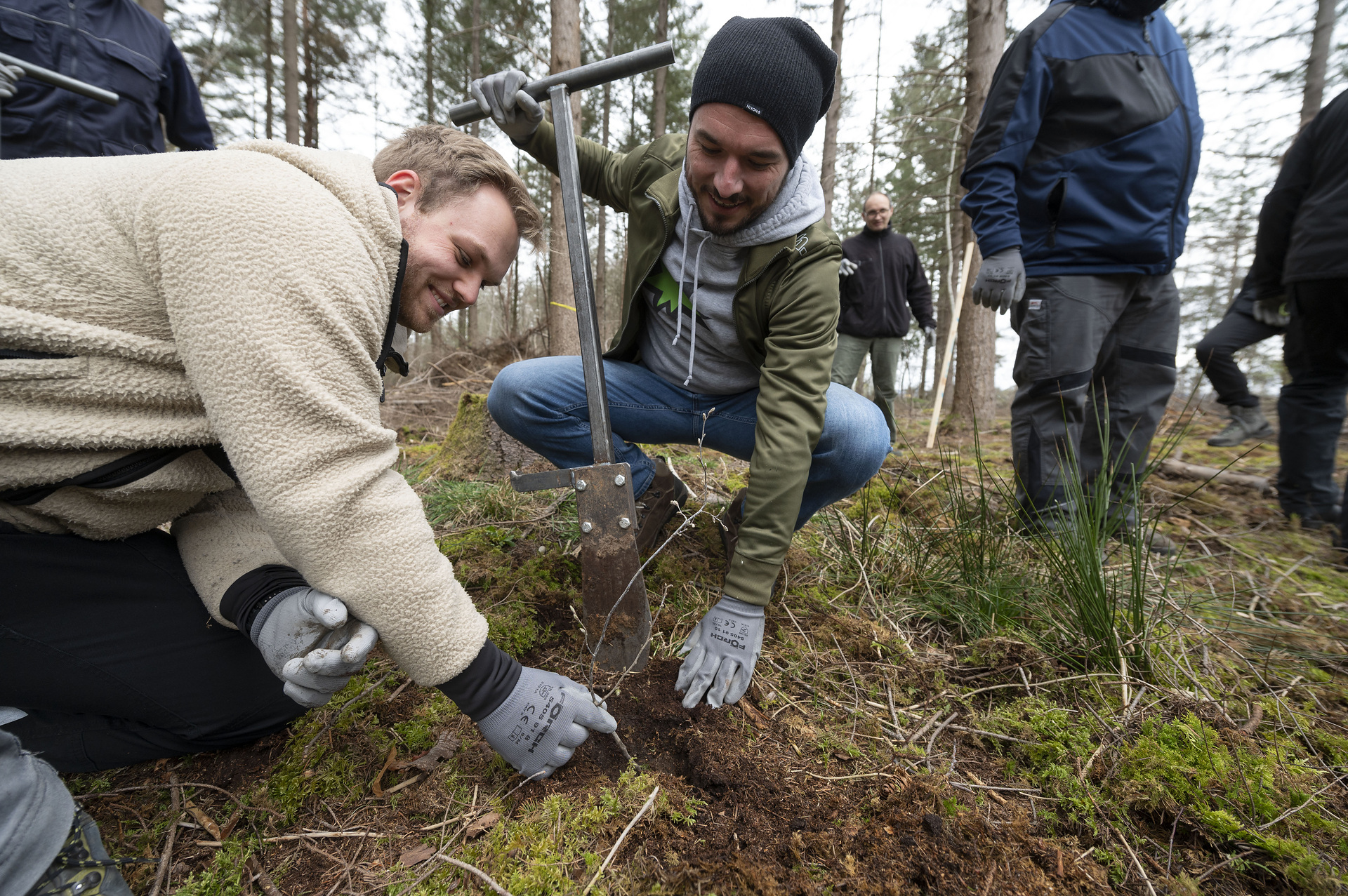 Daimler Truck-Beschäftigte pflanzen Bäume zur naturnahen Wiederbewaldung. Zweitägige Aktion ist Teil der Initiative „Daimler Truck Cares“ und unterstützt die Naturschutzorganisation Bergwaldprojekt e.V. An die Spaten, fertig, los! Daimler Truck-Beschäftigte pflanzen Bäume zur naturnahen Wiederbewaldung