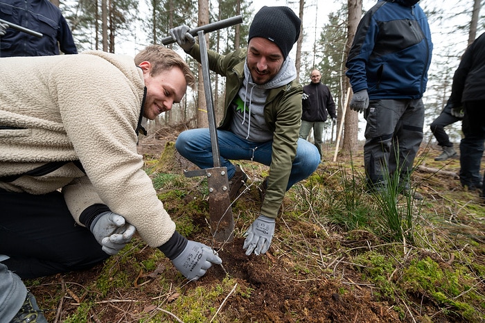 Get to the spades, get set, go! Daimler truck employees plant trees for near-natural reforestation