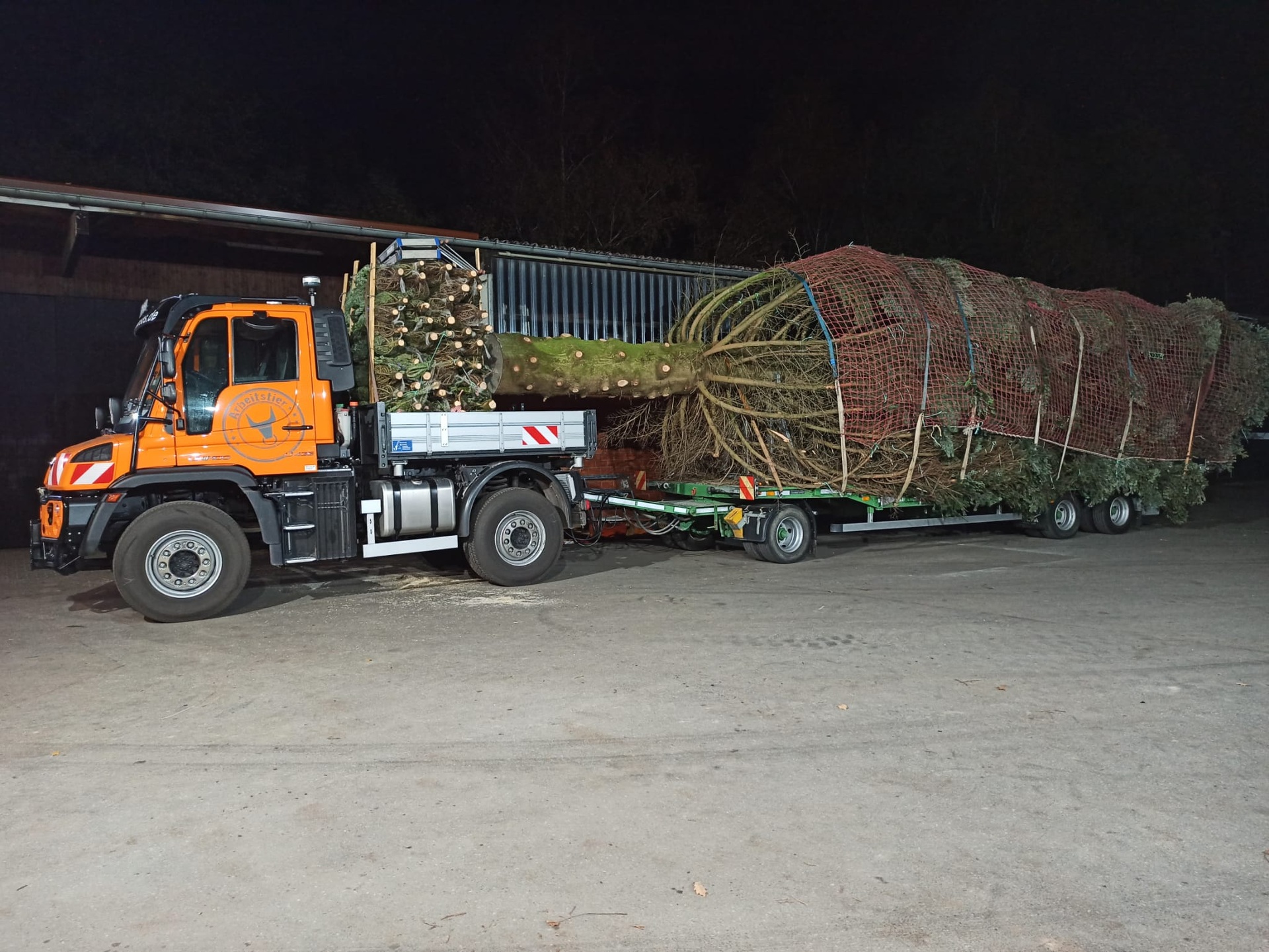 Unimog carries Christmas Tree from Paderborn to Berlin Unimog carries Christmas Tree from Paderborn to Berlin