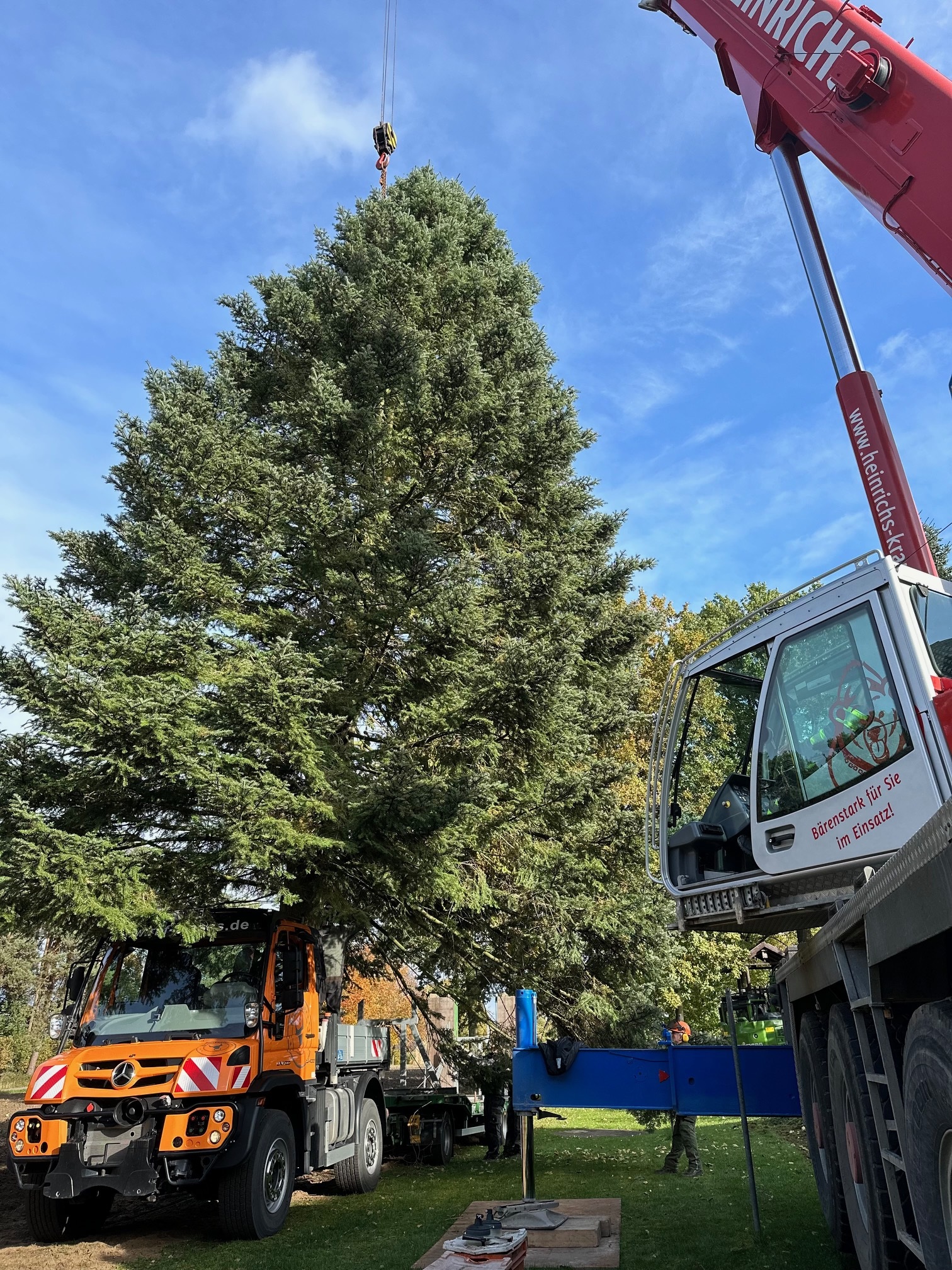 Unimog carries Christmas Tree from Paderborn to Berlin Unimog carries Christmas Tree from Paderborn to Berlin