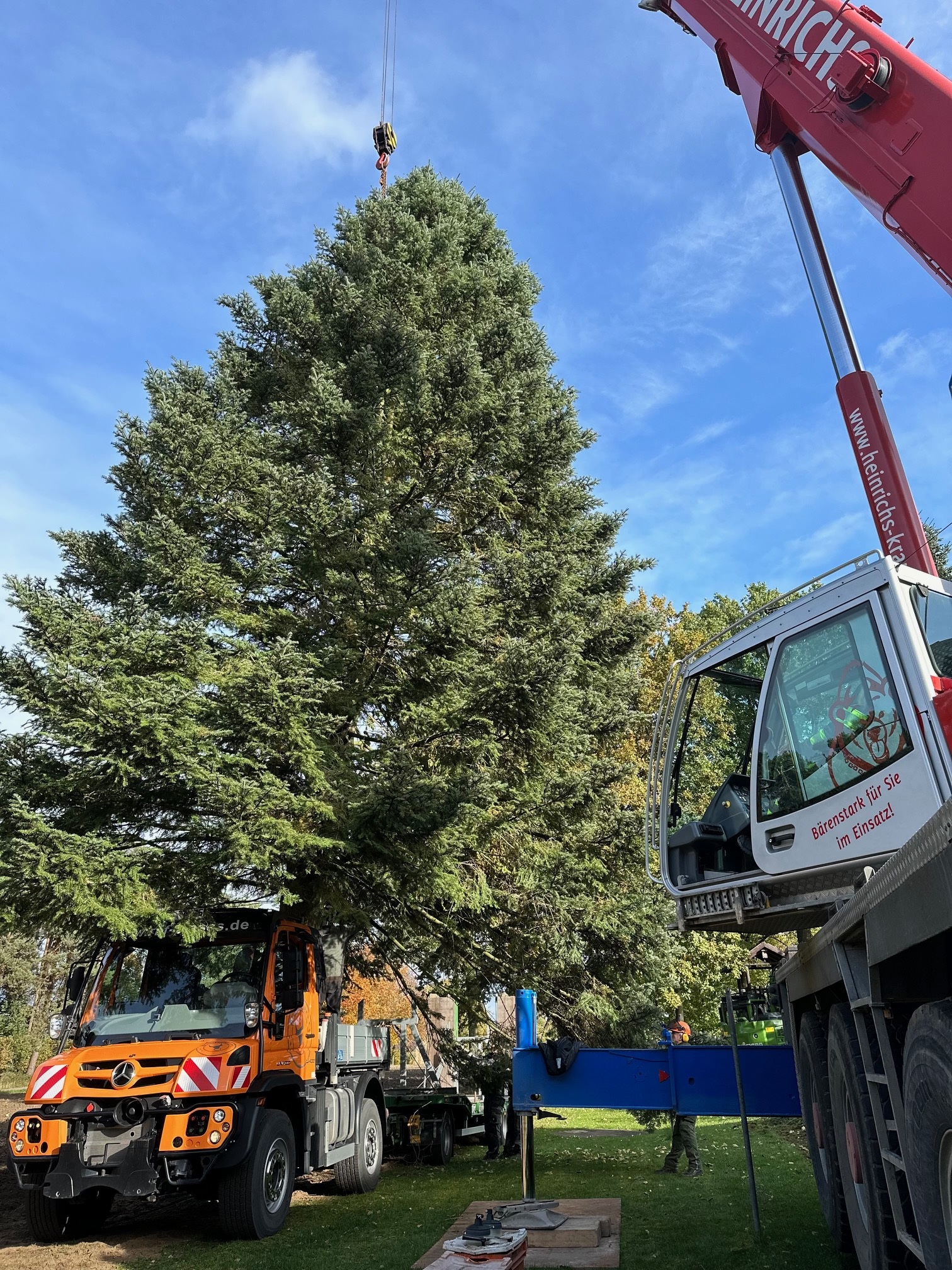 Unimog carries Christmas Tree from Paderborn to Berlin