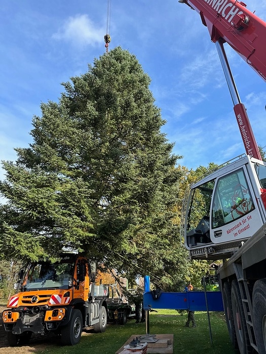 Festlicher Transport: Unimog bringt Weihnachtsbaum von Paderborn nach Berlin