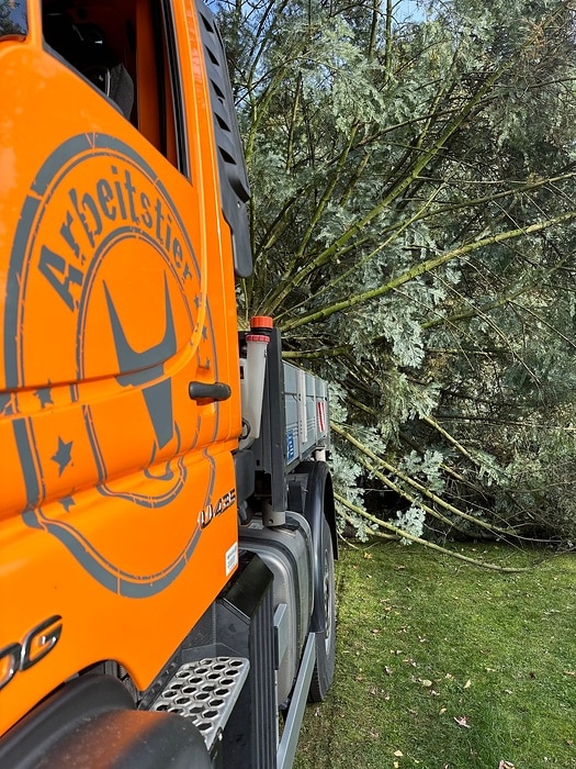 Unimog carries Christmas Tree from Paderborn to Berlin