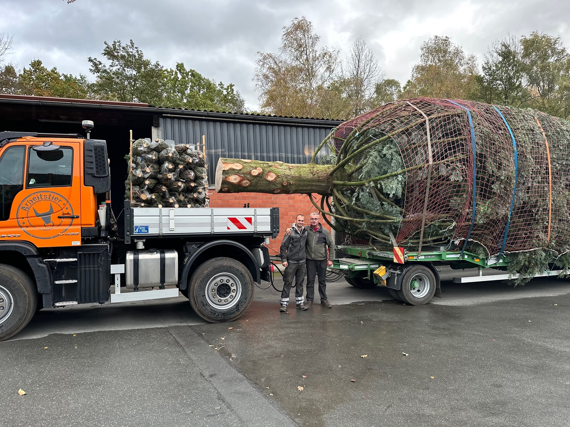 Festlicher Transport: Unimog bringt Weihnachtsbaum von Paderborn nach Berlin