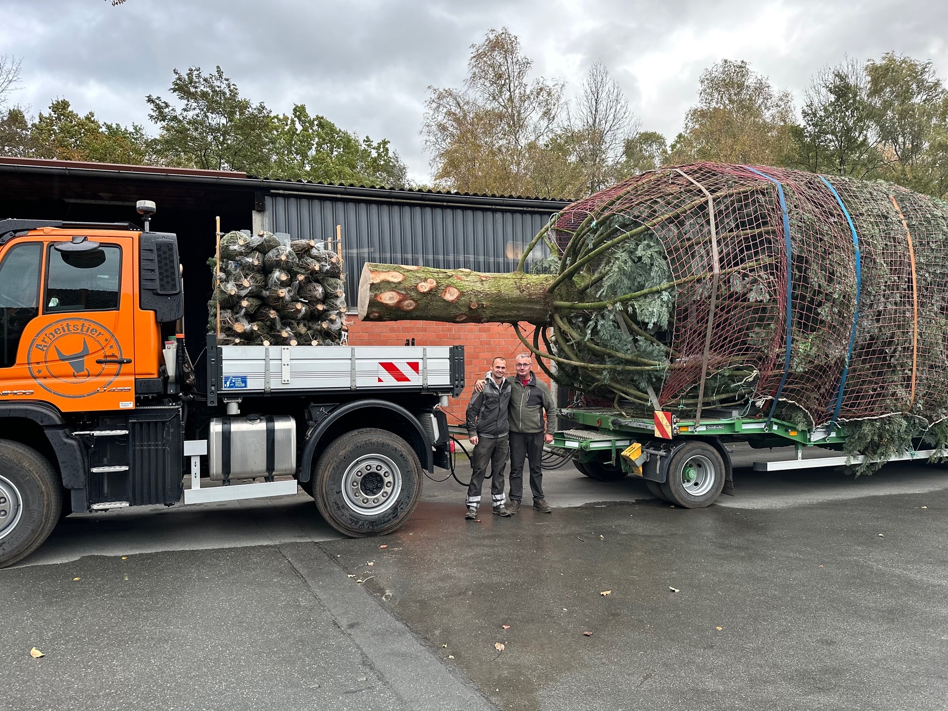 Marcel and Heinrich Grußmann from Grußmann Garten- und Landschaftsbau GmbH & Co KG Paderborn Unimog carries Christmas Tree from Paderborn to Berlin