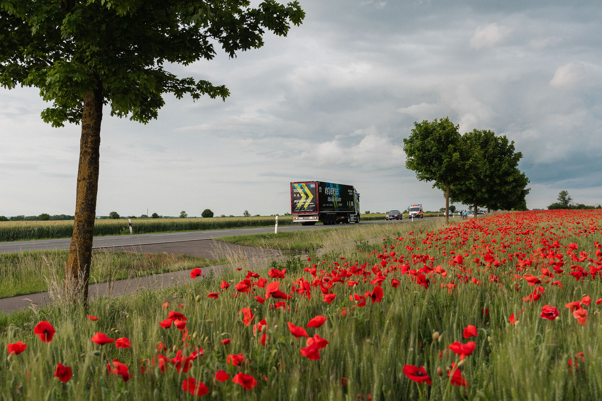 30 Kilometer-Rückwärtsfahrt auf öffentlichen Straßen bis zum neuen Daimler Truck Global Parts Center in Halberstadt Großes Hallo in Halberstadt: eActros 600 fährt 30 Kilometer rückwärts auf öffentlichen Straßen zum Global Parts Center