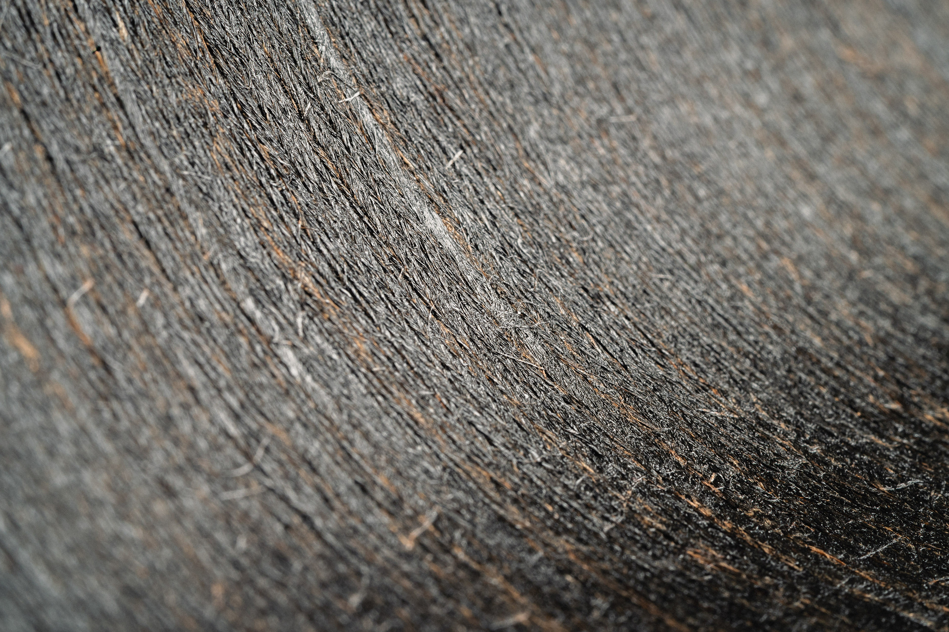 Zweispurig zur Kreislaufwirtschaft: Mercedes-Benz Trucks zeigt den reECONIC – ein batterieelektrisches Fahrzeug mit recycelten Materialien