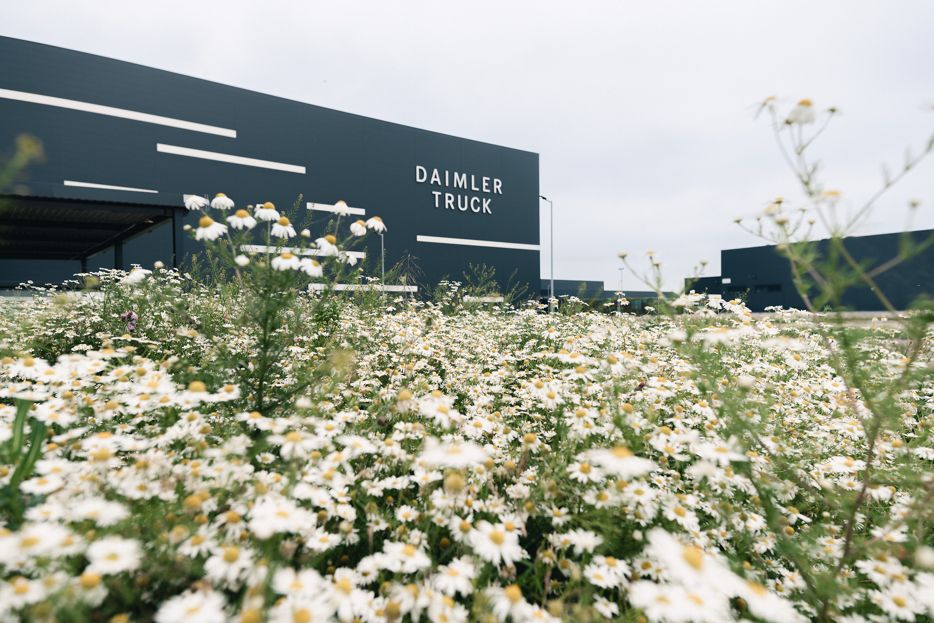 Daimler Truck Global Parts Center vollständig in Betrieb: Ersatzteilversand aus Halberstadt für Mercedes-Benz Lkw Kunden weltweit